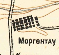 Morgentau