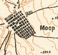 Moor