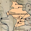 Олешинская волость