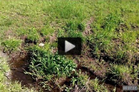Село Купцово, Котовский р-он *video=jcTvX8vLct8