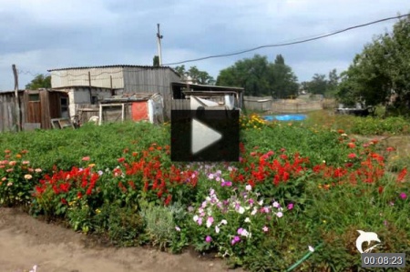 Наш родной посёлок Воднобуерачное *video=XwYjcrGvjhk