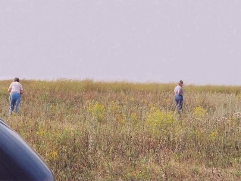 Вид на место,где находилось кладбище колонии Шукк