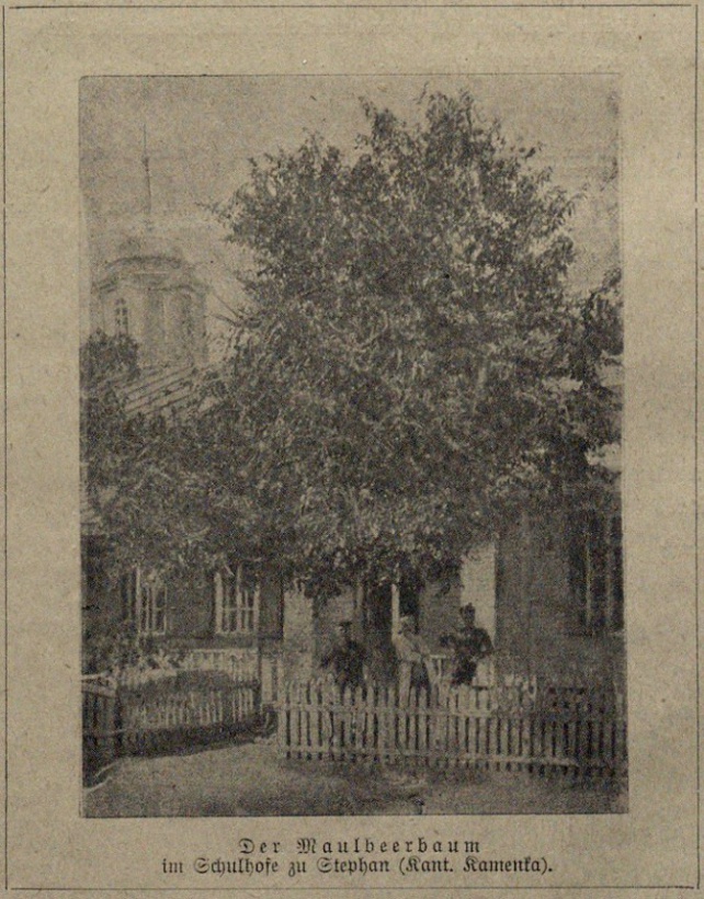 Stephan Schulhof und Kirche