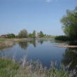 Пруд в селе Чкалово