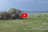 Места, где располагалось Краснополье 2 *video=2g4YoUJcd6U