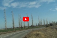 Село Луговское (колония Wiesenmüller) *video=aP1lW6mjzk8